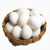 Poultry Eggs